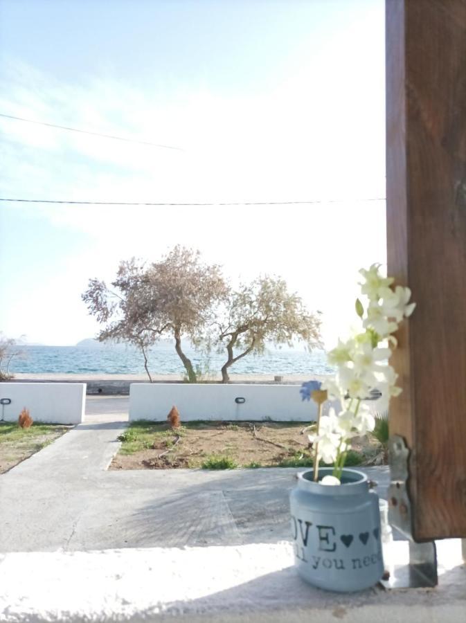 V&E'S Apartments Pigadhia  외부 사진
